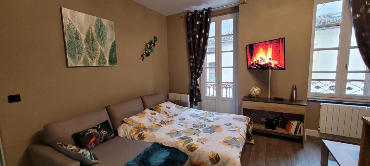 Appartement Le Moulin Vert Carcassonne Exterior photo